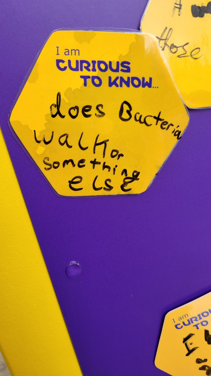 SamuelWardSci's tweet image. Loads of great questions this week.

#SPARKCuriosity 
@merckgroup