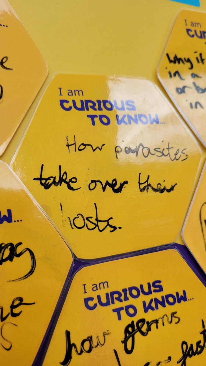 SamuelWardSci's tweet image. Loads of great questions this week.

#SPARKCuriosity 
@merckgroup