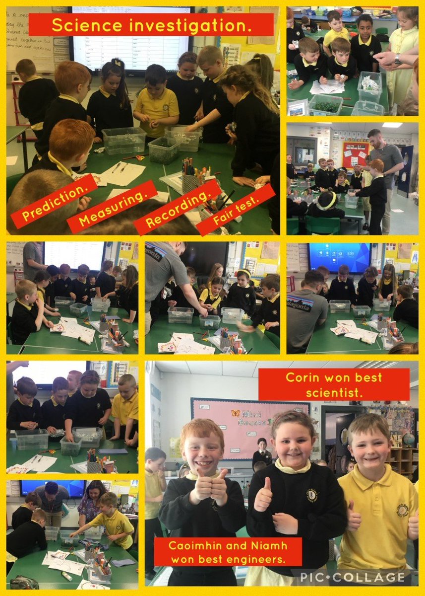 ctrps1's tweet photo. 💓Super #excitement was heard coming from Mrs Brophy's P3A class during their #science investigation. #lotsofengagement💓
#APathwaytoSuccess https://t.co/KlYGGSHeve