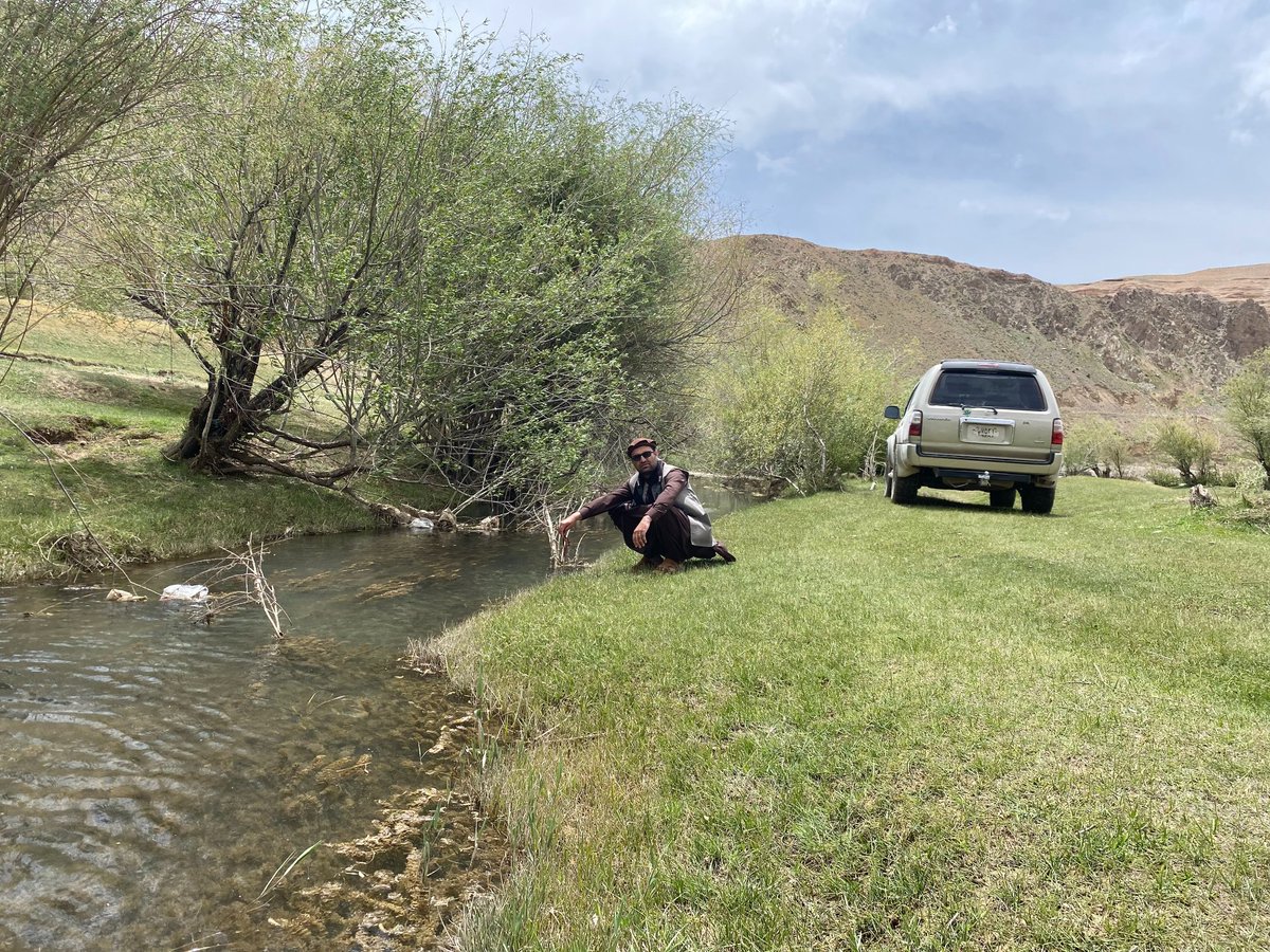 Picnic with officemates