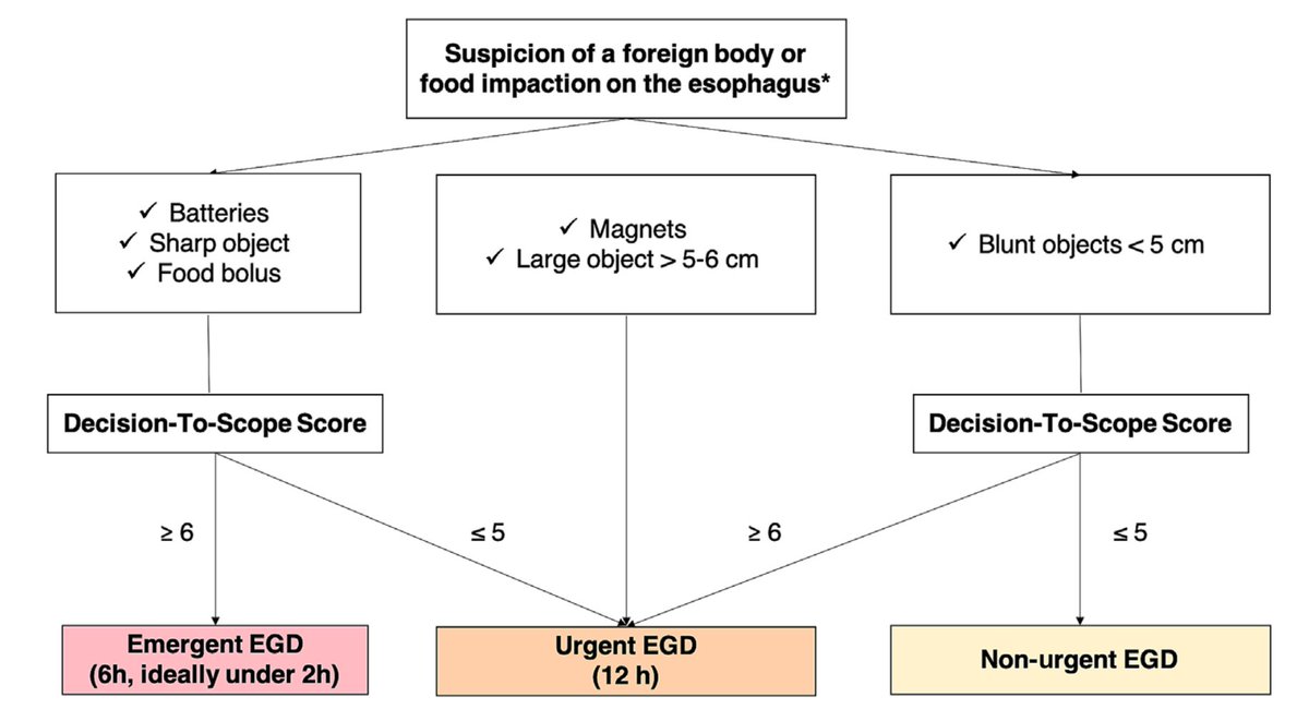 🔴Ingesta de cuerpos extraños🔴

Ya lo hemos tratado varias veces, pero no es raro tener la duda de:
Hago endoscopia, no la hago...

Toda ayuda es poca en la toma de decisiones. 
Yo te dejo aquí este Score que me he encontrado por ahí, unido a un esquema.