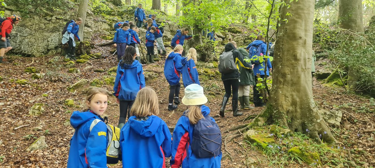 cwp_yr5_6's tweet photo. Unexpected sunshine for our final activity ☀️ https://t.co/W05xrPyUCN