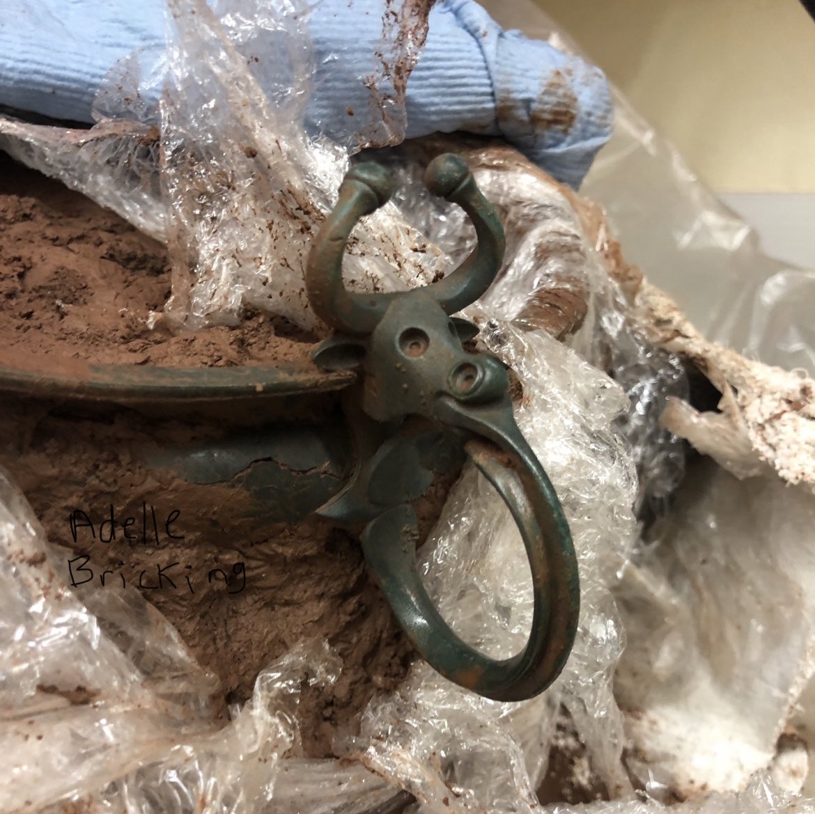 Dr! Adelle Bricking tweet media