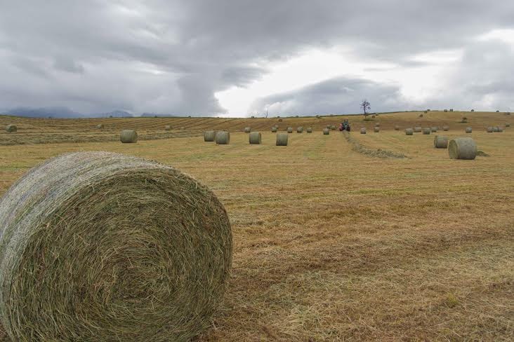 sagchile's tweet photo. @sagchile #Aysén informa a productores/as que ya se encuentra disponible la lista de preseleccionados del concurso N°1 y N°2 del #SIRSD-S 2023 en las oficinas del SAG de la región de Aysén, también pueden comunicarse directamente con sus operadores. https://t.co/TJlJErzHKN