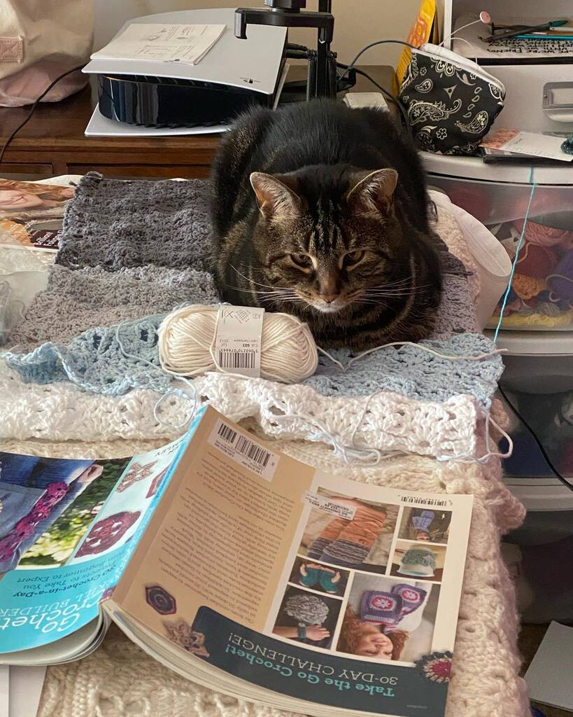 Do you know about my 5 Minute Crochet Podcast? It’s on my YouTube channel and this photo will make sense if you go listen to today’s episode! instagr.am/p/Cr3Q5G3LBlG/