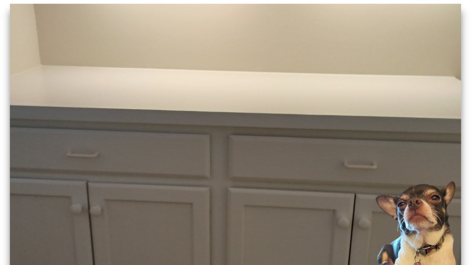 Paint Unlimited LLC (paintunlimited1) / Twitter