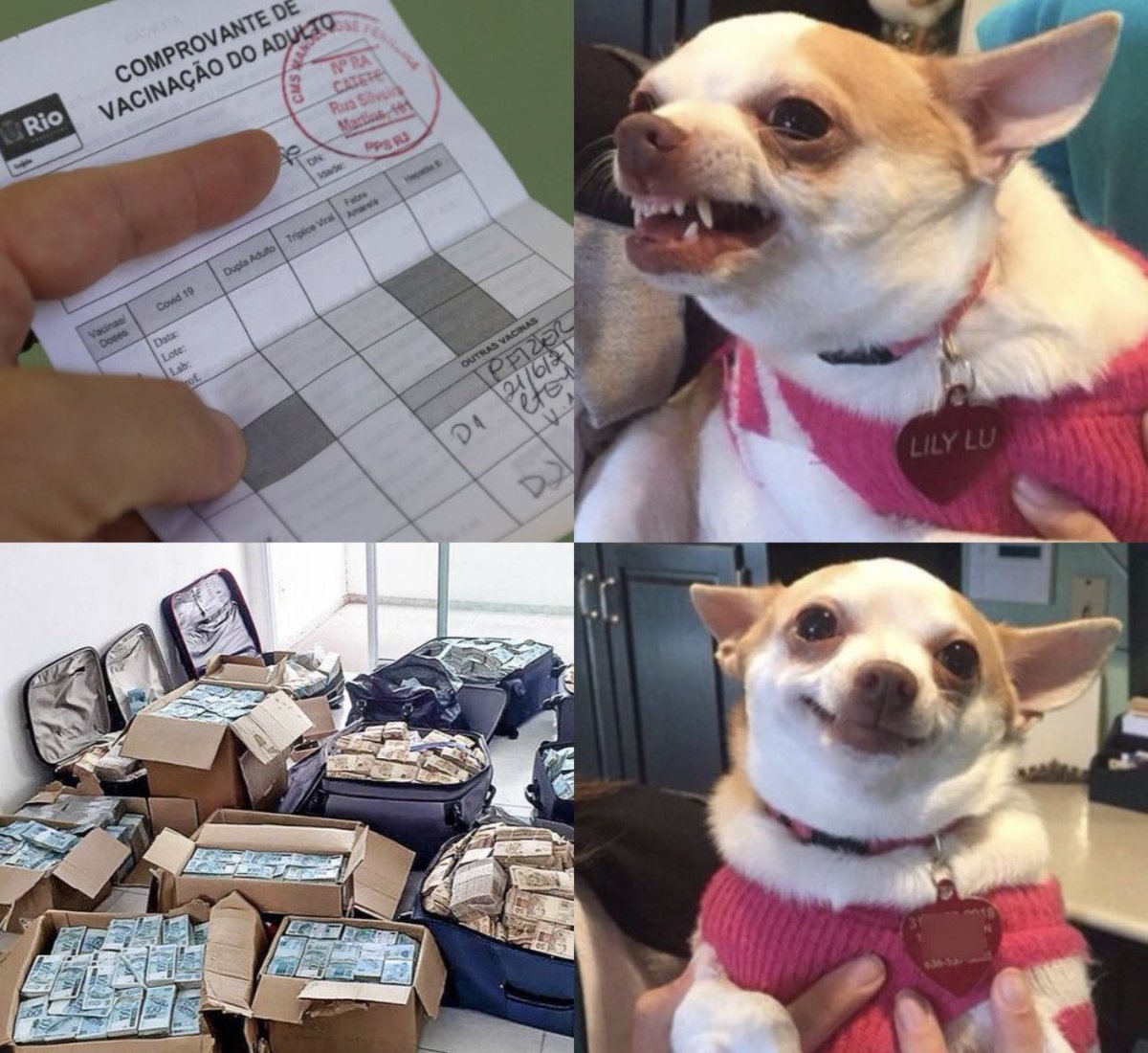 Gustavo Lazaro (@tgustavolazarot) on Twitter photo 