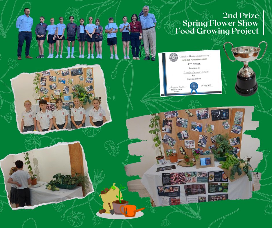 Loreto Convent tweet media