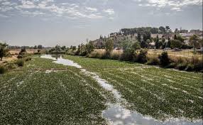 Resumen de la nula gestión del Presidente de Extremadura.