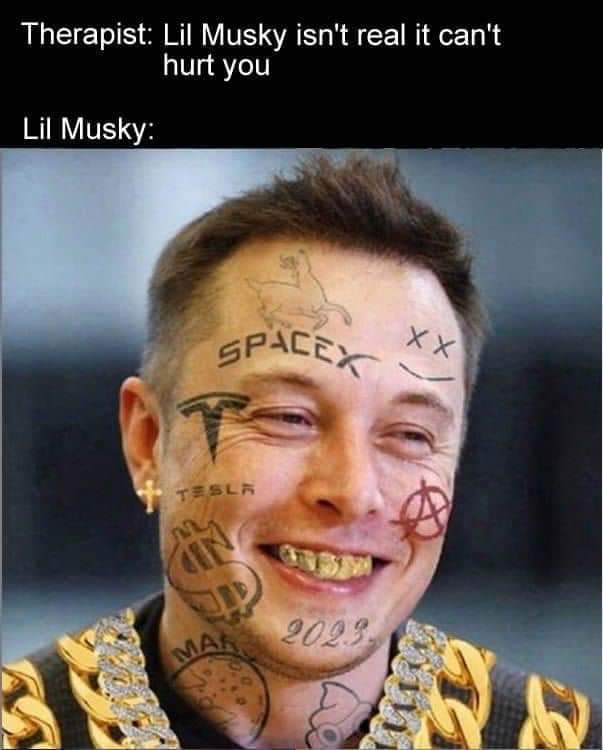 DiceZero's tweet image. LOL @elonmusk    busted a gut laughing at this.