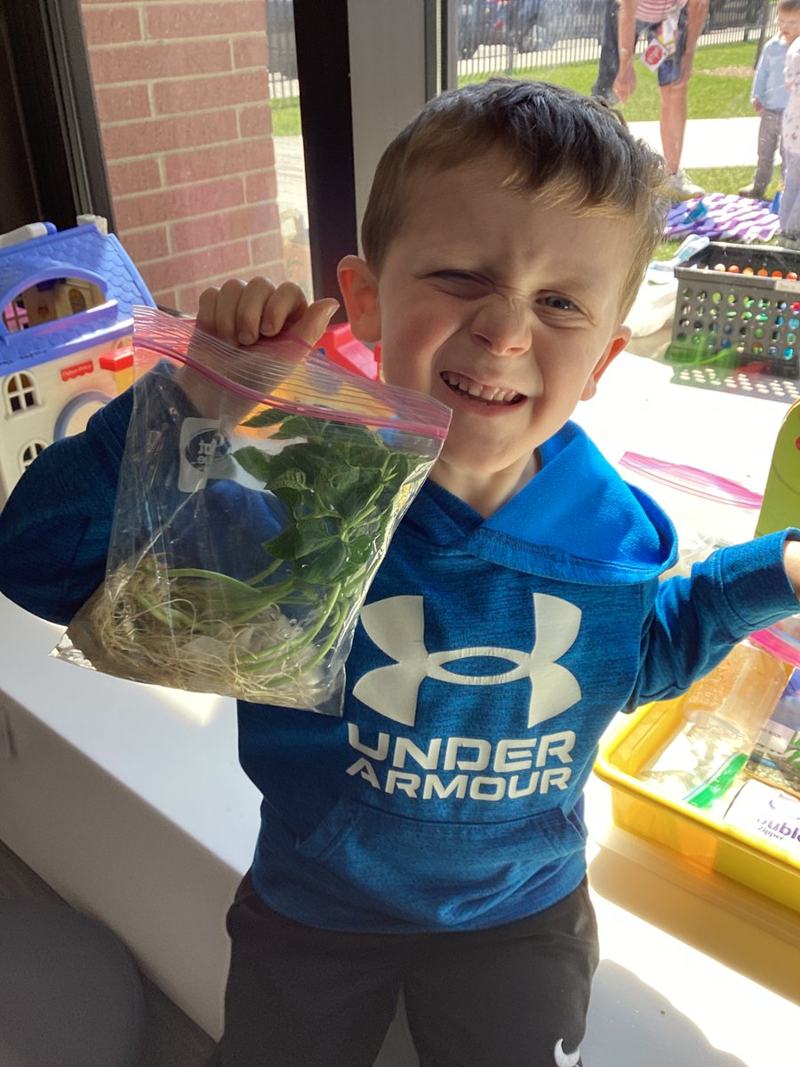 We love #PreSchoolScience 🧑‍🔬🫘🌱
'Growing Beans in a Bag'
#WeAreD34 #WBPandas