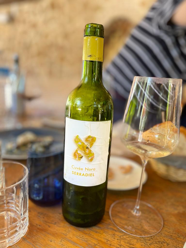 trentarruno's tweet photo. Día 124
Un día, un vi
Aleph Cuvée Nora Serradiel 2018
Chardonnay, Macabeo
Vino de la Tierra de Castilla
.
.
@AlephWinery
@mcruarua1
@Elisa_bouza
@Jjpower98
@RacodAnna
.
.
#dia124 #undiaunvi #racodanna #campdelx #chardonnay #macabeo #vinodelatierradecastilla #casasibañez https://t.co/Fz9agUTo6P