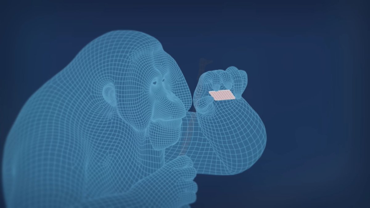 InLightVFX (@inlightvfx) on Twitter photo Just want to appreciate <a href="/CDisillusion/">Captain Disillusion</a> and how he always goes the extra mile with every second of his videos. Like how he has a fully animated Orangutan for a 2-second portion of the most recent one. Incredible work as always, Captain! youtu.be/j6tbG6b6xRg?t=… Just want to appreciate <a href="/CDisillusion/">Captain Disillusion</a> and how he always goes the extra mile with every second of his videos. Like how he has a fully animated Orangutan for a 2-second portion of the most recent one. Incredible work as always, Captain! youtu.be/j6tbG6b6xRg?t=…