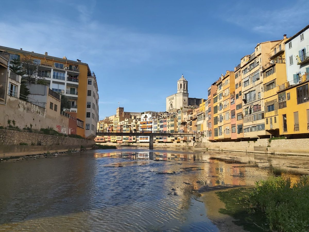 👍 L'ANG i diversos investigadors de la UdG donem suport en l'actuació de @girona_cat envers l'actuació d'extracció de peixos invasors de l'Onyar