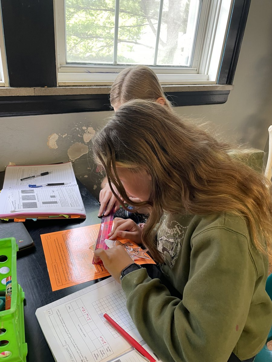 ChelseaJacobs23's tweet photo. How big can goldfish get in the wild? We’re measuring, graphing, and determining which factors are genetic and which are environmental! #fmsteach https://t.co/Eg2tFClq1t