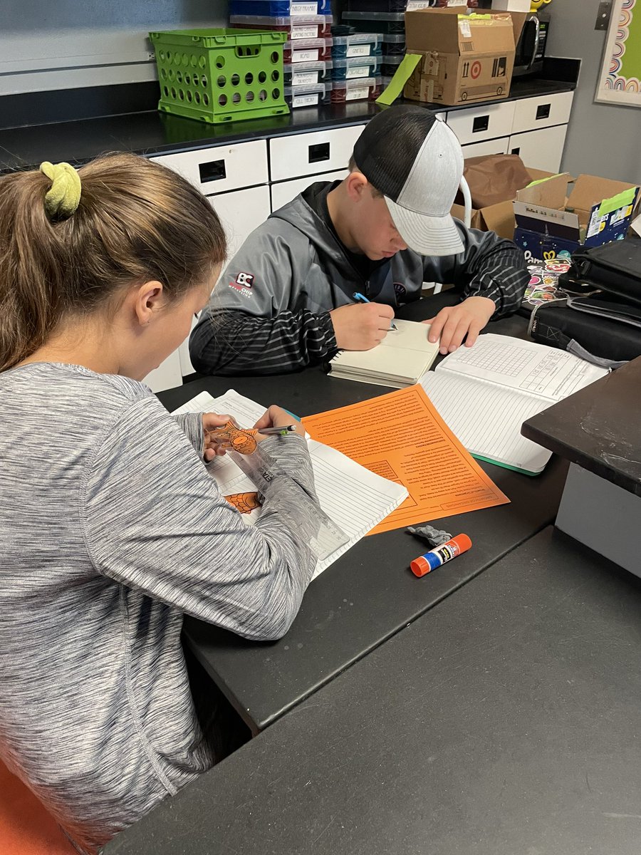 ChelseaJacobs23's tweet photo. How big can goldfish get in the wild? We’re measuring, graphing, and determining which factors are genetic and which are environmental! #fmsteach https://t.co/Eg2tFClq1t