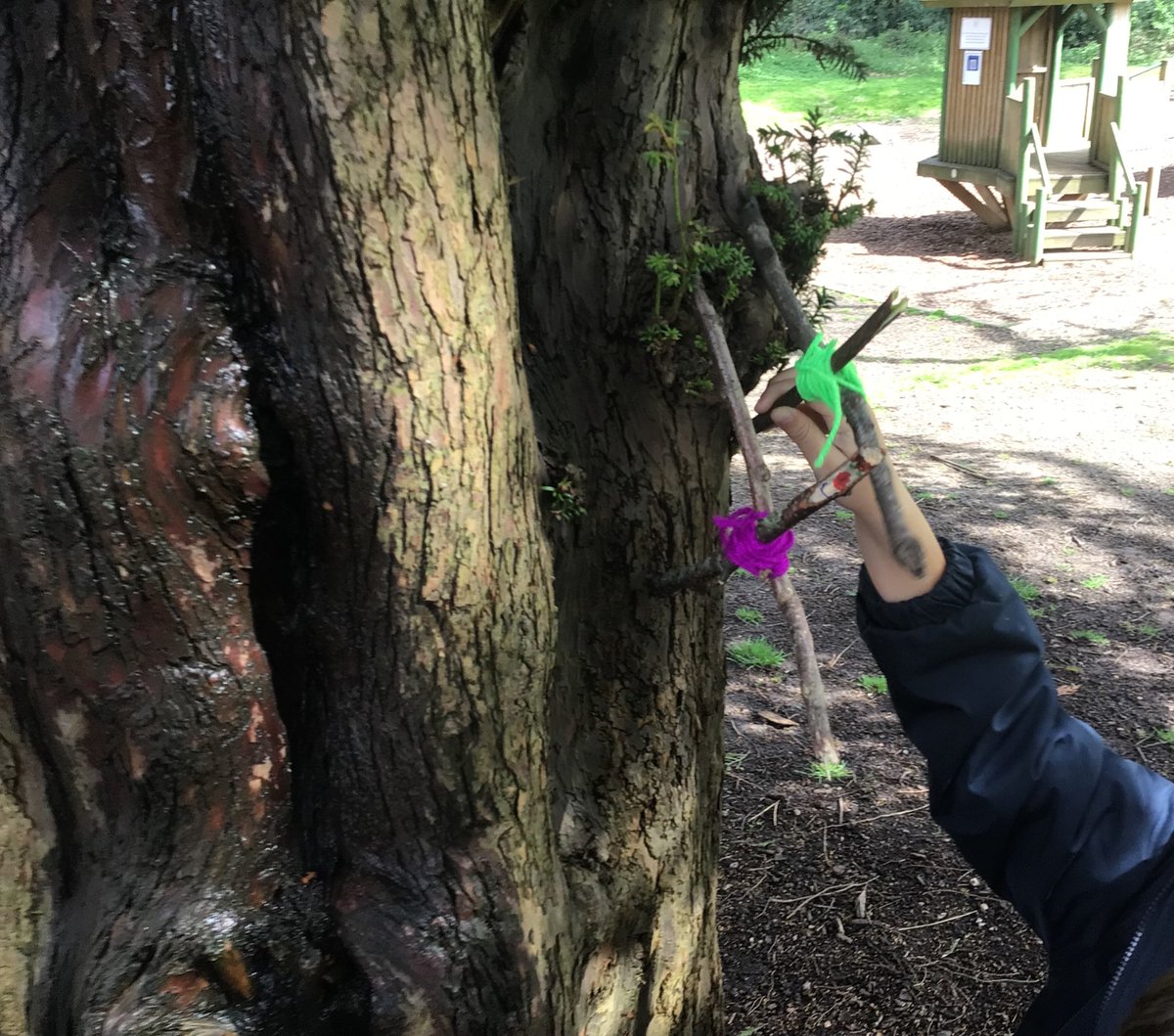 HawthornsOL's tweet photo. Year 1 have made their own stick friends this term and have enjoyed taking them on their very fast adventure! @HawthornsSchool https://t.co/beh42kcBYV
