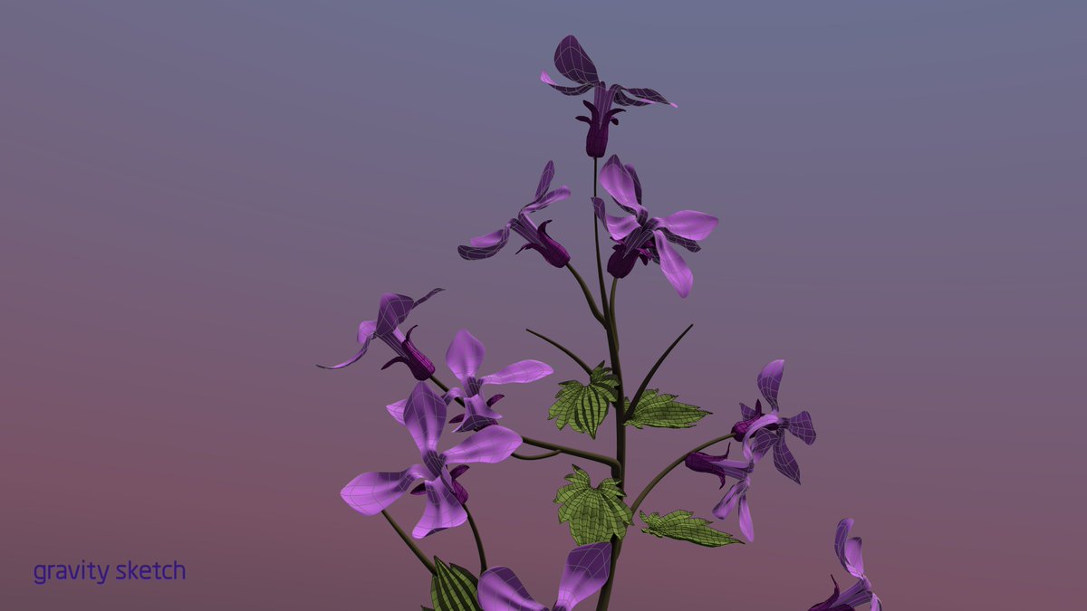 Today's 3D flower sketch is the Lunaria Annua, also know as the Honesty plant. The name Lunaria means 'moon-shaped', as it's seeds are white-ish, silvery and round. For this reason they sometimes get called 'Moonpennies'. Next stop #Houdini. Made with #gravitysketch. #floral #3D