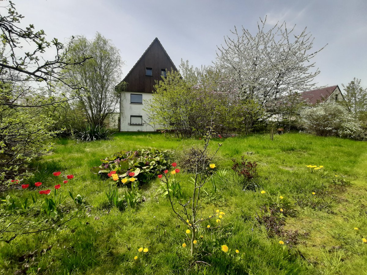 BOHOHV's tweet photo. Alles neu macht der Mai! Kleine Flucht aufs Land geplant? Selbstrenovierer? Hier kommt unser Frühlings-Sonderangebot! 216 m2 Wohnfläche und über 1.000 m2 Garten für 659 EUR Kaltmiete:
 https://t.co/C25I56VxKw https://t.co/uXBs57UxEi