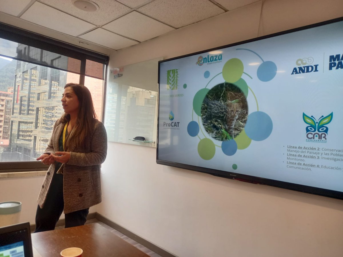 CNAB_ANDI tweet media