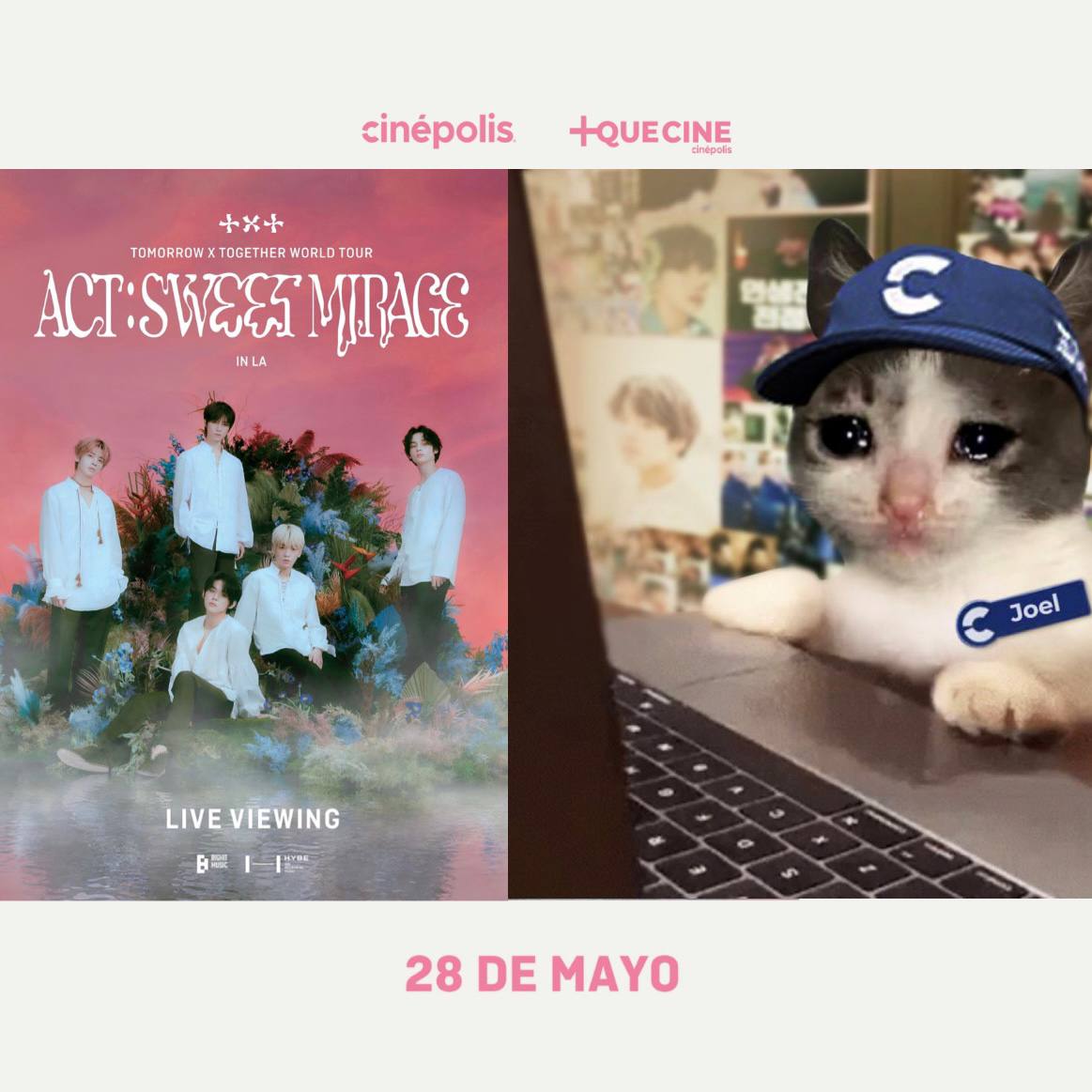 Cinepolis's tweet photo. Nada más es de ponerle ENVIAR 📩, para que ya puedan comprar su bellos boletos. ✨¡Prepárense porque puede suceder en cualquier momento! 🤩

Atentamente: su amigo Joel. 💗 https://t.co/7qAVYRV6jC