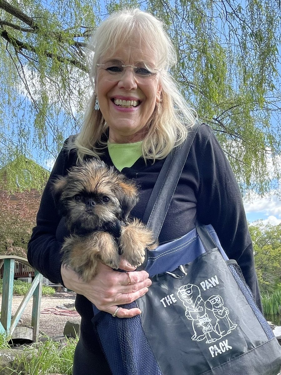 🚨📣ℕ𝔼𝕎𝕊 𝔽𝕃𝔸𝕊ℍ!! 🚨📣

Stork has arrived! 🦩🦩
NEWEST member of the Paw Pack and our family!!🐾❤️🫶
A girl no name yet! 😉
Brussels Griffon!!
@bunsenbernerbmd 
#dogsftwitter 
#newpuppy
#brusselsgriffon
#PawPack