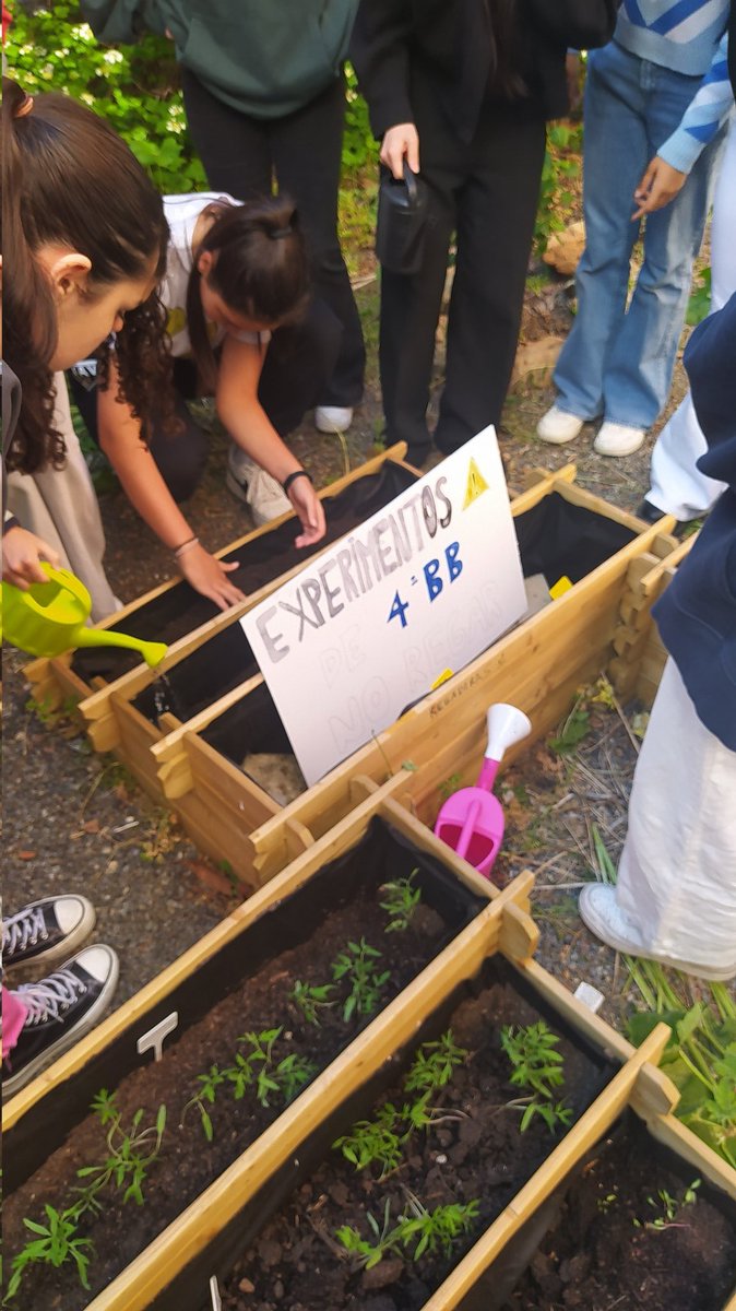 IsabelScience's tweet photo. Today, 4° people start an experiment to know the perfect biotope for plants to grow. 
The seeds will try to grow without light, without water or without soil. Which will be the worst? https://t.co/FFjGKoWlJW