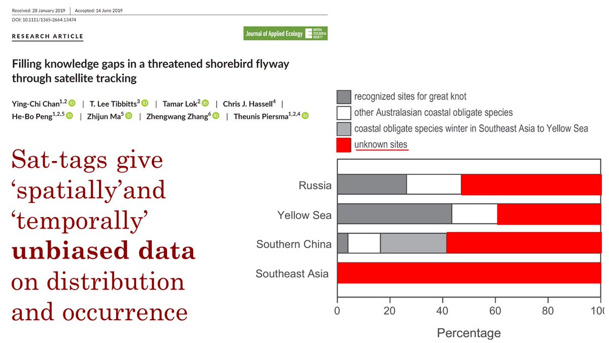 Surely, <a href="/ADBEnvironment/">ADB Environment</a> thinks about ways to EMPOWER the (mostly YOUNG) scientific talents along <a href="/EAAFP/">EAAFP</a>? Their hard-won data enable real #flyway cartoons! 

Migratory #shorebirds could be the sentinels of the flyway system! DM us at <a href="/GlobalFlyway/">Global Flyway Network</a>

Example: research.rug.nl/en/publication…