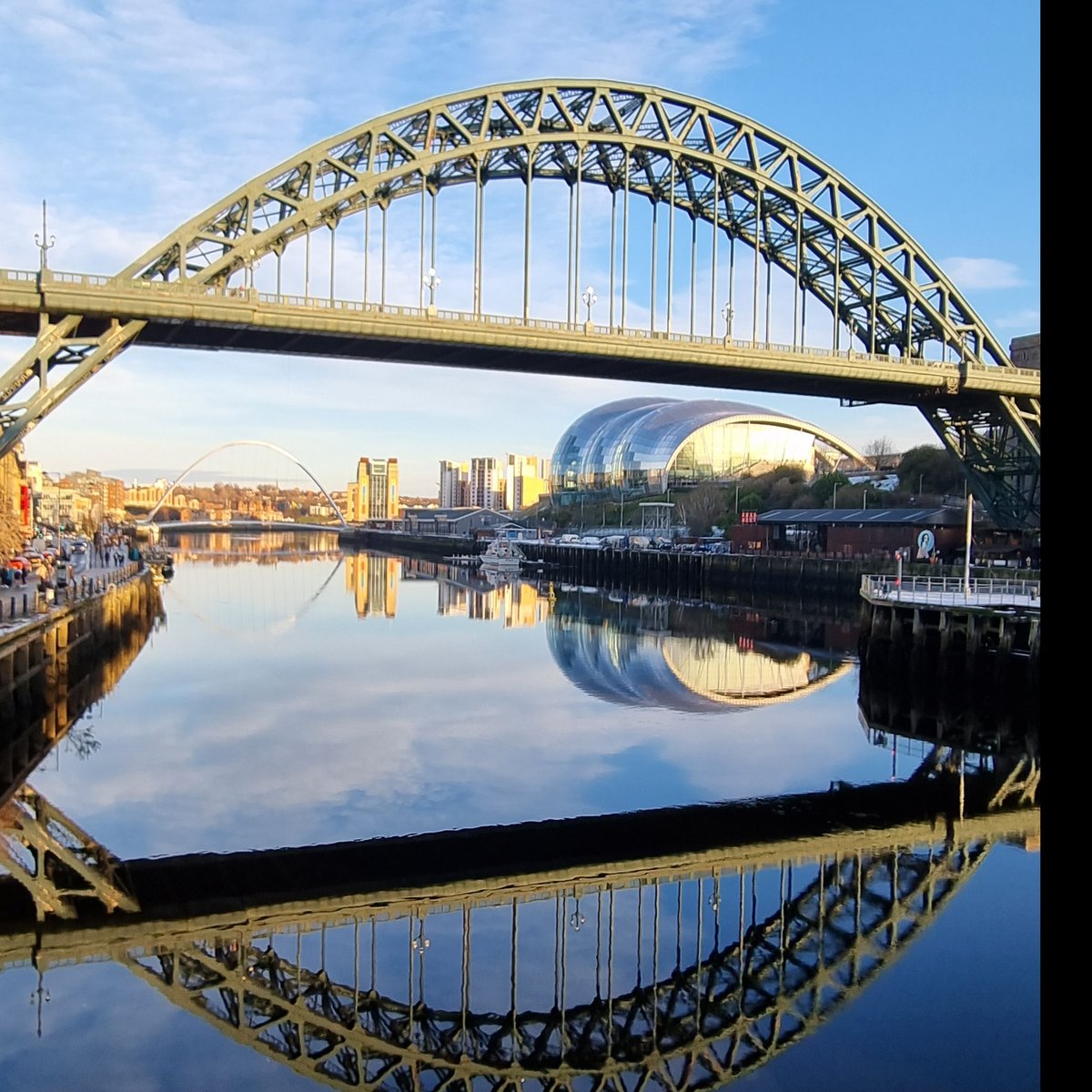 Yusuf Michla tweet media