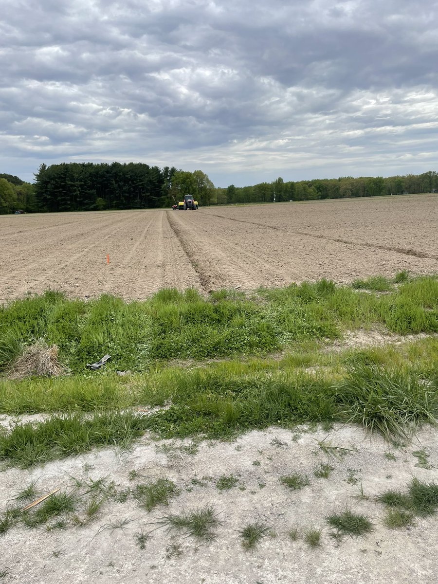 KalynneFitz's tweet photo. Been a fun busy week putting plots in! #plant23 #nkseeds https://t.co/Ftj6vW0rwT