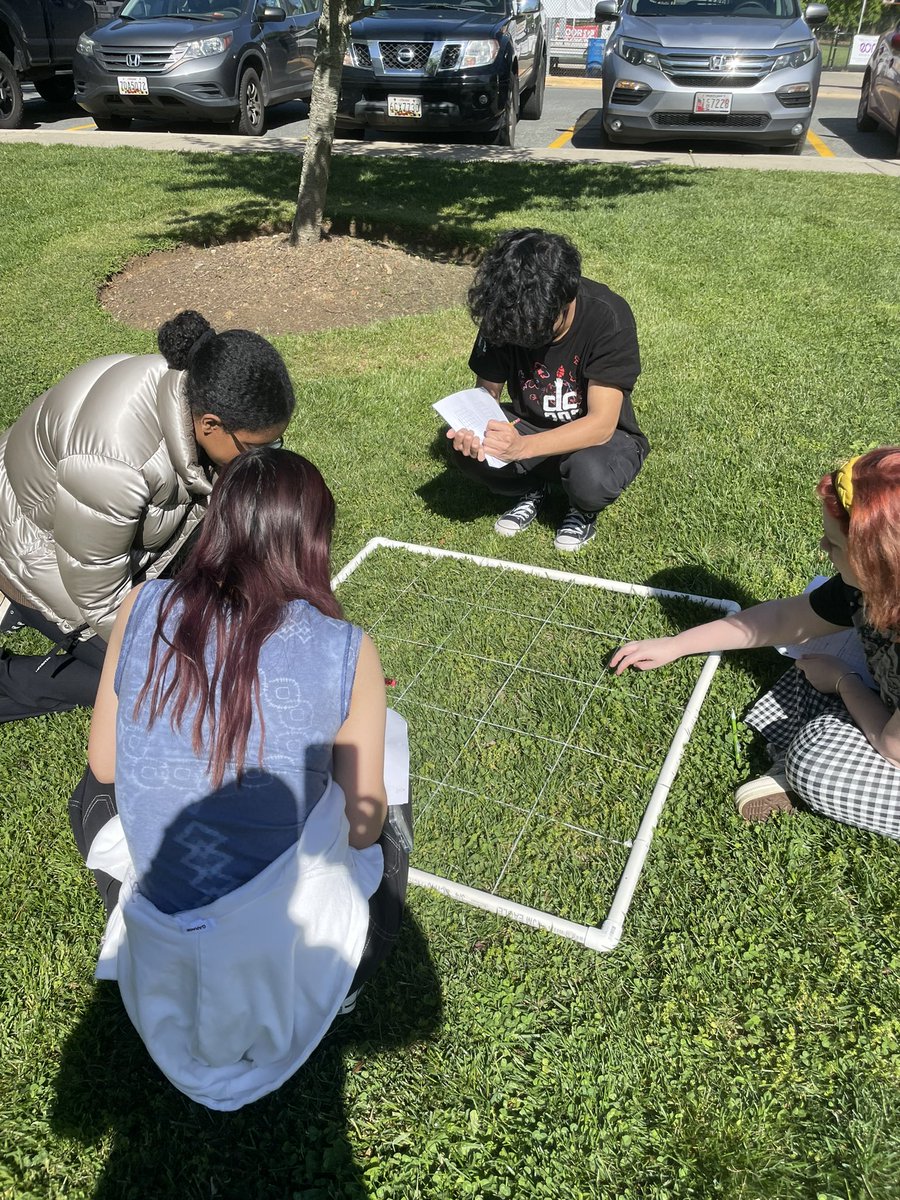 Great day for IB Biology students to try an ecological sampling technique using quadrats!