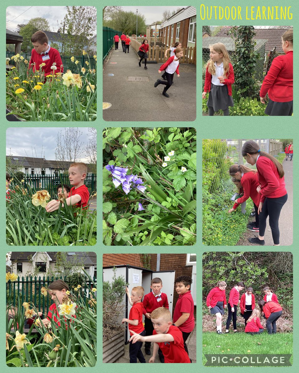 .<a href="/PengamPrimary/">Pengam Primary</a> During Outdoor Learning we explored the school grounds looking for a variety of flowering plants to photograph. We used the app ‘Skitch’ to carefully label each part. 🌺🌹🌺