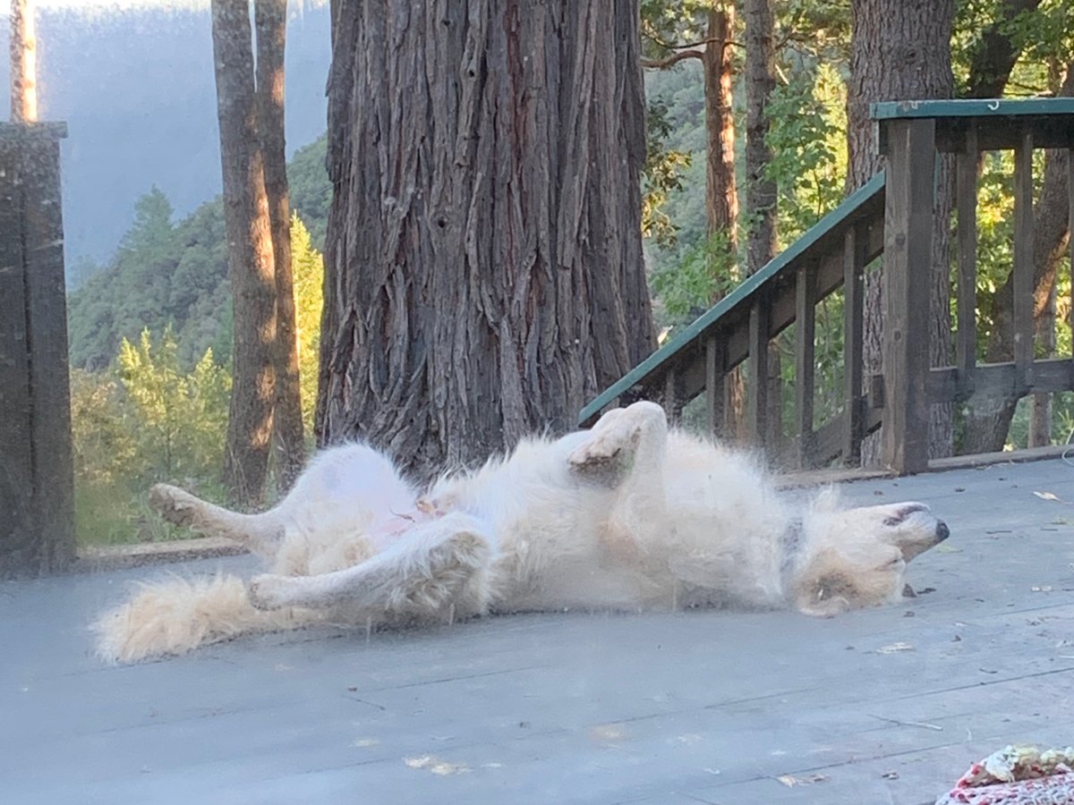 _RHCollection's tweet image. Big mood when the sun finally comes out.