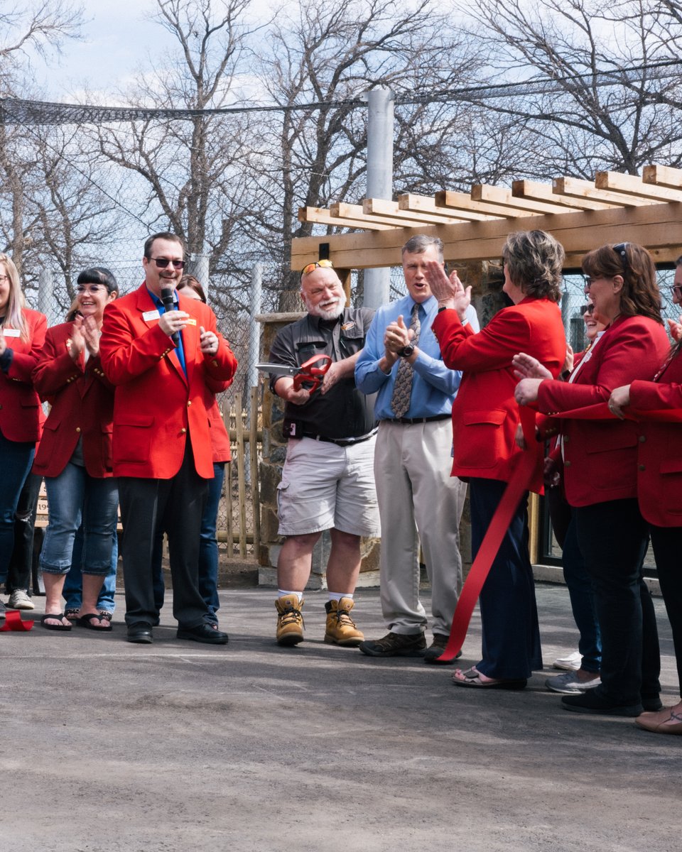 Celebrating the final chapter of the Big Cat exhibits today! Thank you to everyone who made this new exhibit possible, we are excited to bring a new enhanced quality of life to the animals that call the Roosevelt Park Zoo home and a new experience for our community to enjoy.