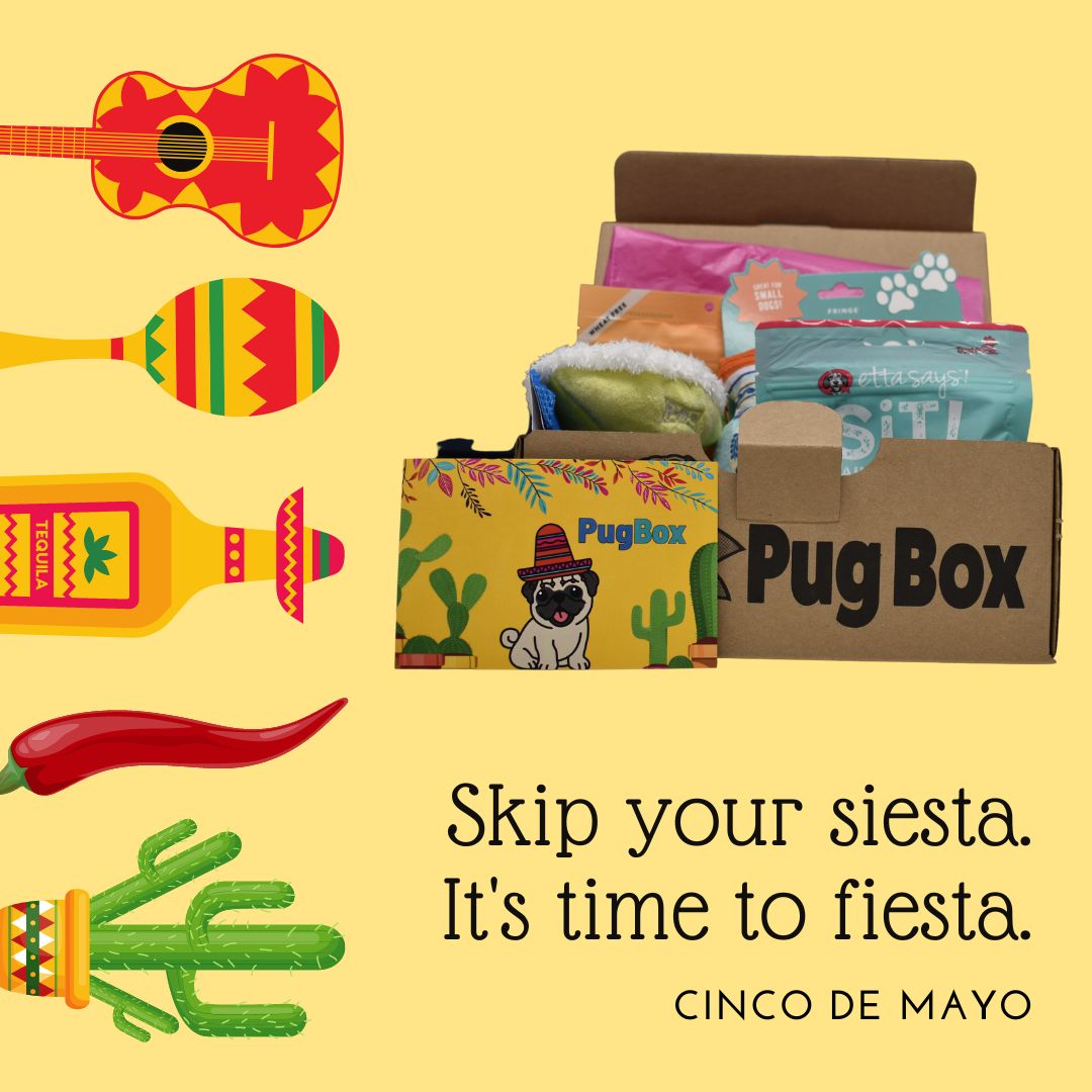 PugBoxes's tweet photo. Happy Cinco de Mayo to all our amazing followers and subscribers and their adorable pugs! May your day be filled with lots of treats, belly rubs, and pug-tastic fun. Let's paw-ty like it's fiesta time! 🎉🐾🌮🎊 #HappyCincodeMayo #PugBox #PugLife #PugLove #FiestaTime https://t.co/Nk66fDXo2p