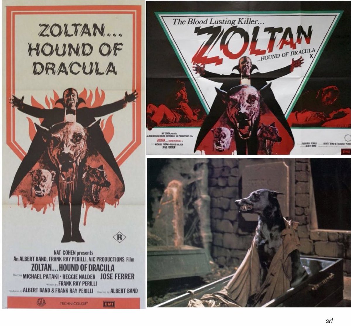 SaveRedlandLibr's tweet photo. 9:05pm TODAY on @TalkingPicsTV

The 1977 #Horror film🎥 “Zoltan...Hound of Dracula” (aka “Dracula's Dog”) directed by #AlbertBand &amp; written by #FrankRayPerilli

#KenJohnson novelised📖 the film as “Hounds of Dracula” in 1977

🌟#JoséFerrer #MichaelPataki #ArleneMartel https://t.co/ap8i5RhvSK