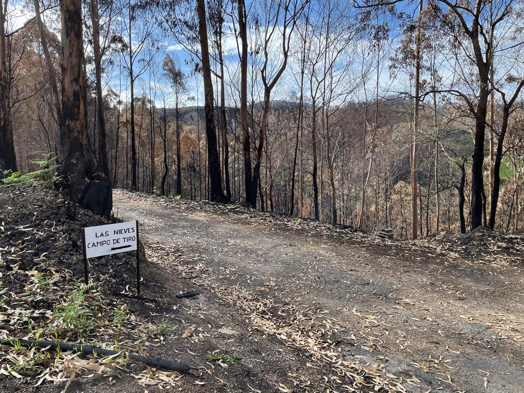Hoy estuve en la zona noroccidental. En Tapia de Casariego con vecinos empresarios y ganaderos.
También en Valdés, acompañado de Carmen Rodríguez, Candidata de Foro a la alcaldía de Valdés visitando vecinos y alguna de las zonas afectadas por los incendios.
#AcercandoOccidente