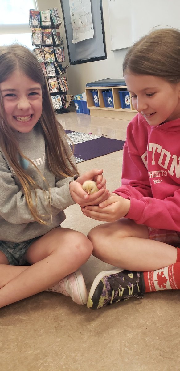 We love our new classmates! We've   been busy learning about life cycles. <a href="/EJSMSchool/">Ecole J S McCormick</a>