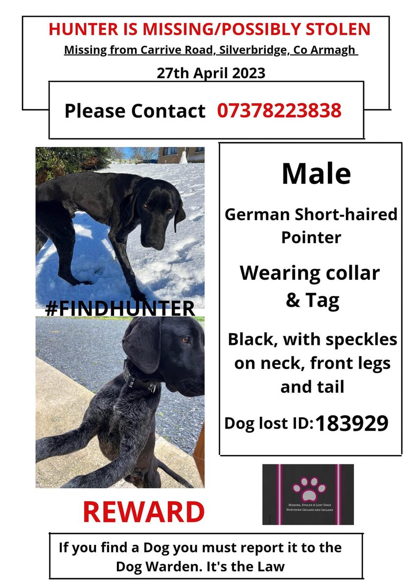 ‼ HUNTER STILL MISSING ‼
from his home Carrive Road, #Silverbridge, Co #Armagh between morning/lunch time 
went out with the other dog but sadly didn't return 27/4/23 
If you have any info regarding Hunter then I want to hear from you!!! 

#FINDHUNTER 

m.facebook.com/groups/Missing…
