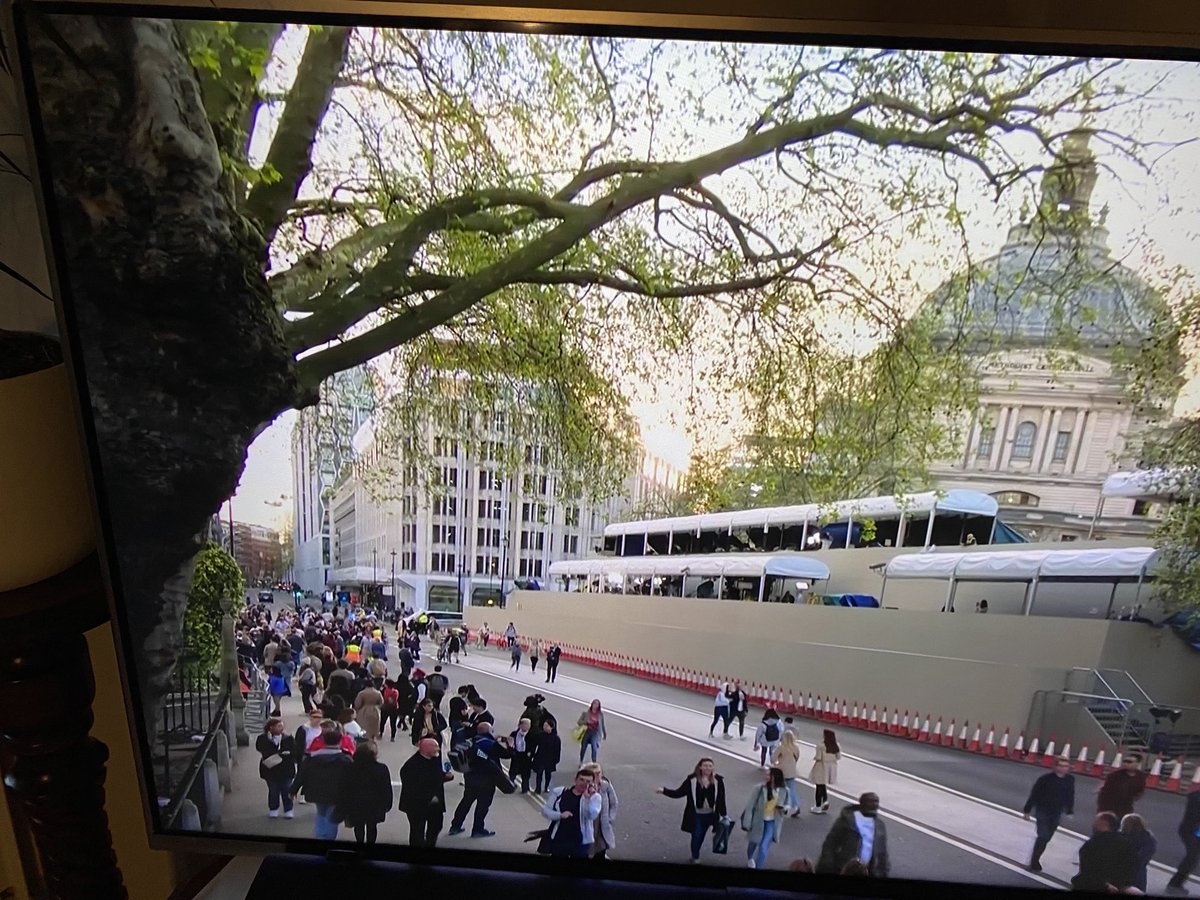 Fun With The Cones tweet media