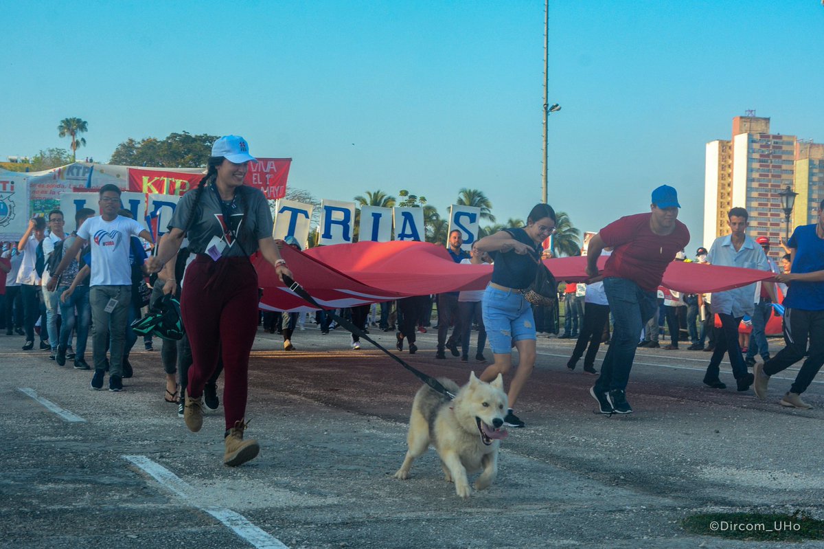 JChelala96's tweet photo. Todos están orgullosos de sus fotos del desfile por el #1roDeMayo... pero solo la @univholguinera desfil�� con su mascota y eso... los hace únicos 😎

#OrgulloUHo 
@Ana_Hurtado86 @AnabelNaranjoP4 @davidlahera1 @idiannelis https://t.co/vUdljDl0e6