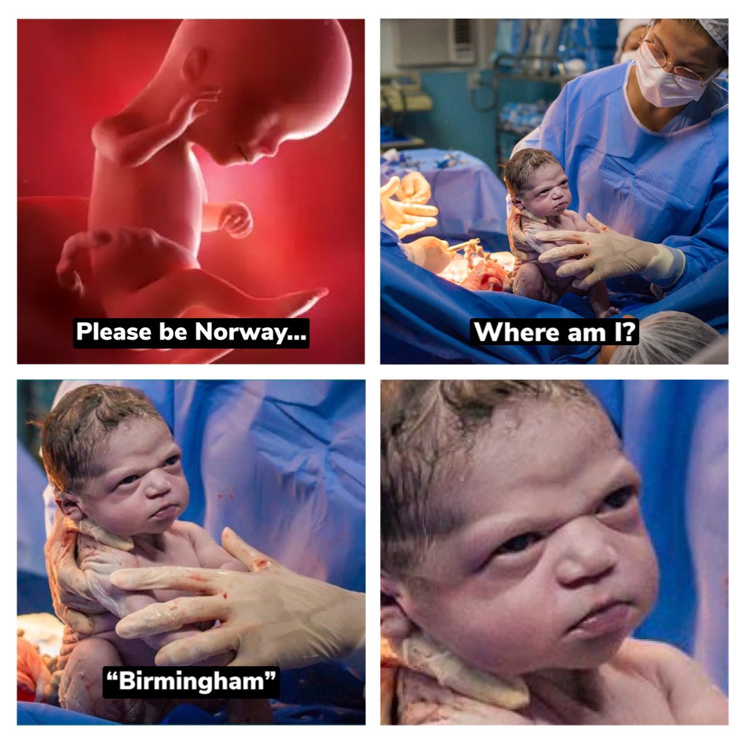 No Context Brits tweet media