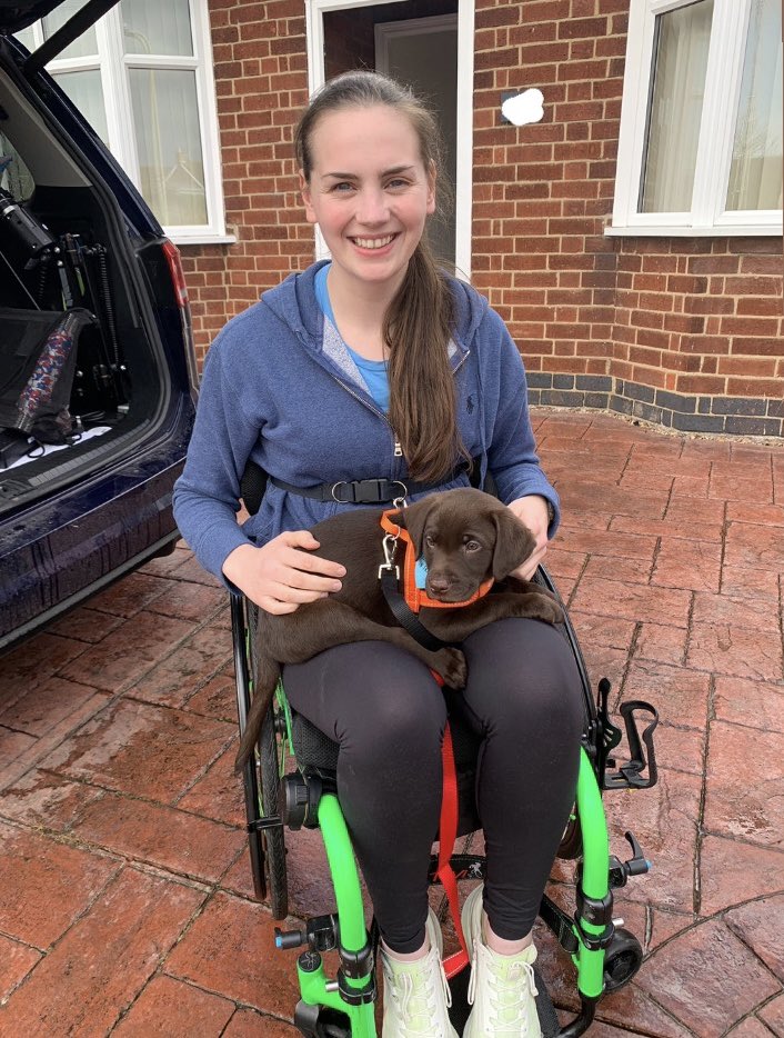 tailsofhuxley's tweet photo. Met my human mum today I’m going to make a fantastic assistance dog for her @TullyKearney #assistancedogintraining #chocolatelabrador #kcregisteredlabrador #puppy #puppiesofinstagram #firstdayatmynewhome https://t.co/7j0deRlrzB