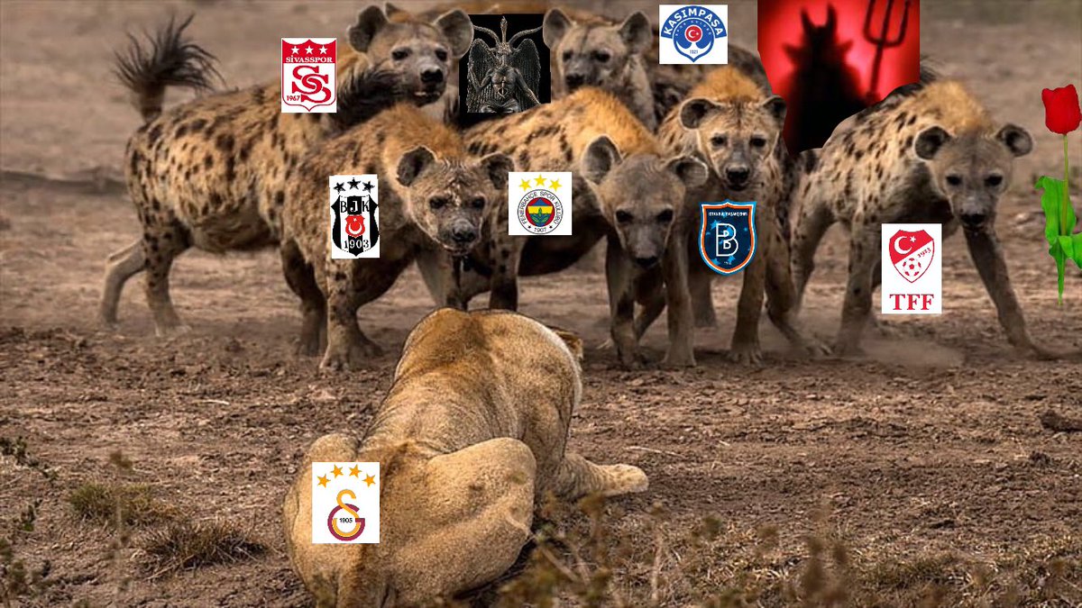 Türkiyede futbol nasıl mı oynanır ?