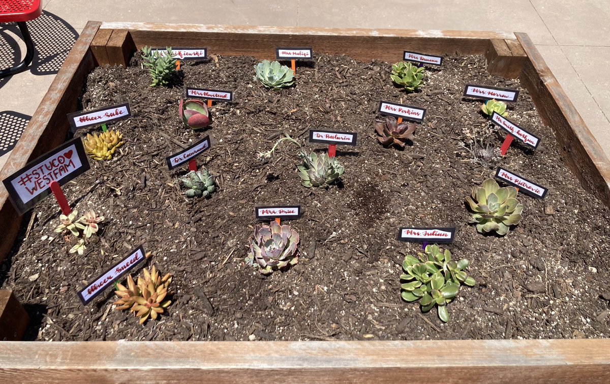 Christina Malone (@cmalone3) on Twitter photo West StuCo❤️’s our Admin Team‼️
they are like succulents:a symbol of tenacity, strength and selflessness🪴
#westfam
<a href="/drbalarin/">Dr. Sarah Balarin</a> <a href="/Principal_SB/">Taylor Smith-Bothun M.Ed.</a> <a href="/nick_coenraad/">Nick Coenraad, Ed.D.</a> <a href="/PjetrovicWest/">Ms. Pjetrovic</a> <a href="/adela_muliqi/">Adela Muliqi</a> <a href="/lisaprice_cmsw/">Lisa</a> <a href="/MrsOlmstead/">Shannon Olmstead</a> <a href="/juliansteph2006/">Stephanie</a>
<a href="/mrsduncan8/">jaime duncan</a>
<a href="/PerkyEdu/">DianaLyn Perkins</a>
<a href="/Dsneed4/">Dsneed361</a>
<a href="/skooter938/">Skooter</a>
🖥️TP West StuCo❤️’s our Admin Team‼️
they are like succulents:a symbol of tenacity, strength and selflessness🪴
#westfam
<a href="/drbalarin/">Dr. Sarah Balarin</a> <a href="/Principal_SB/">Taylor Smith-Bothun M.Ed.</a> <a href="/nick_coenraad/">Nick Coenraad, Ed.D.</a> <a href="/PjetrovicWest/">Ms. Pjetrovic</a> <a href="/adela_muliqi/">Adela Muliqi</a> <a href="/lisaprice_cmsw/">Lisa</a> <a href="/MrsOlmstead/">Shannon Olmstead</a> <a href="/juliansteph2006/">Stephanie</a>
<a href="/mrsduncan8/">jaime duncan</a>
<a href="/PerkyEdu/">DianaLyn Perkins</a>
<a href="/Dsneed4/">Dsneed361</a>
<a href="/skooter938/">Skooter</a>
🖥️TP