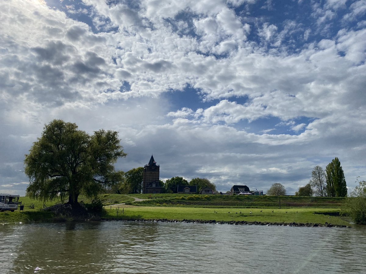 De oude wilg #varik #5mei tourdewaal