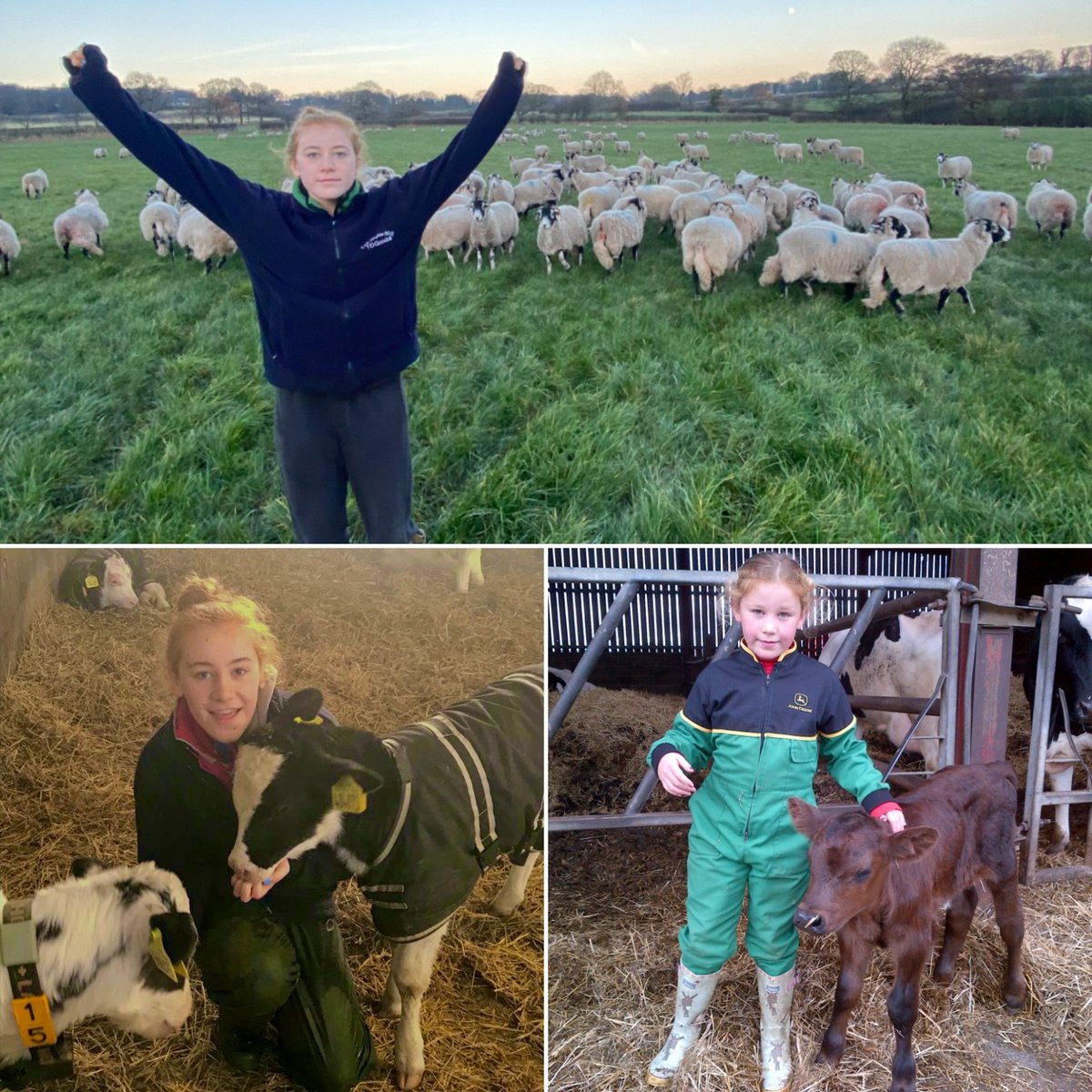 Sedbergh School Agriculture tweet media