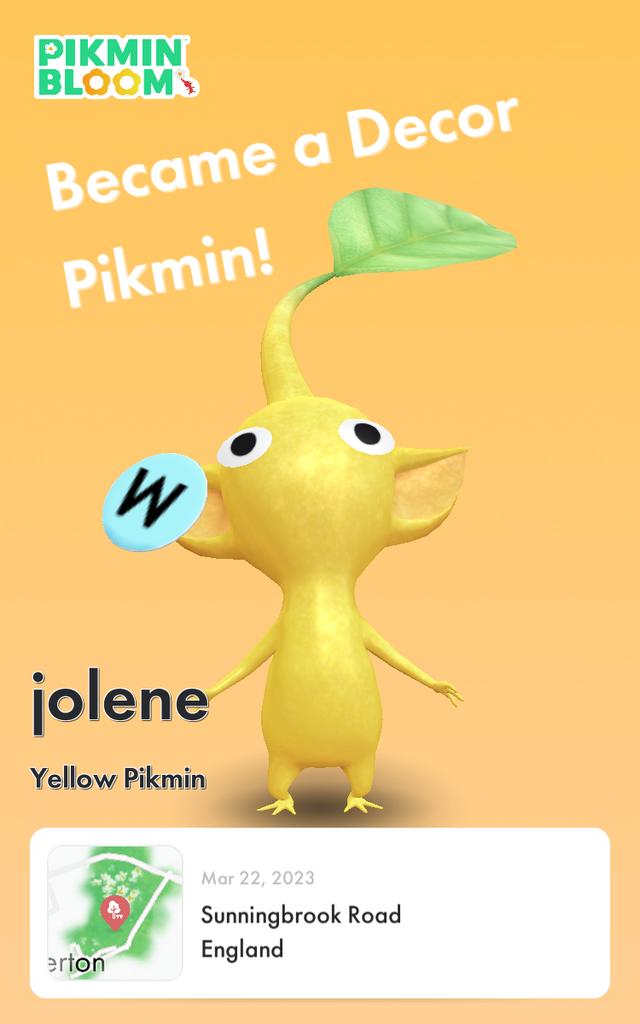 yammarty80's tweet photo. #DailyPikminBloom https://t.co/TUb5JXNhWA