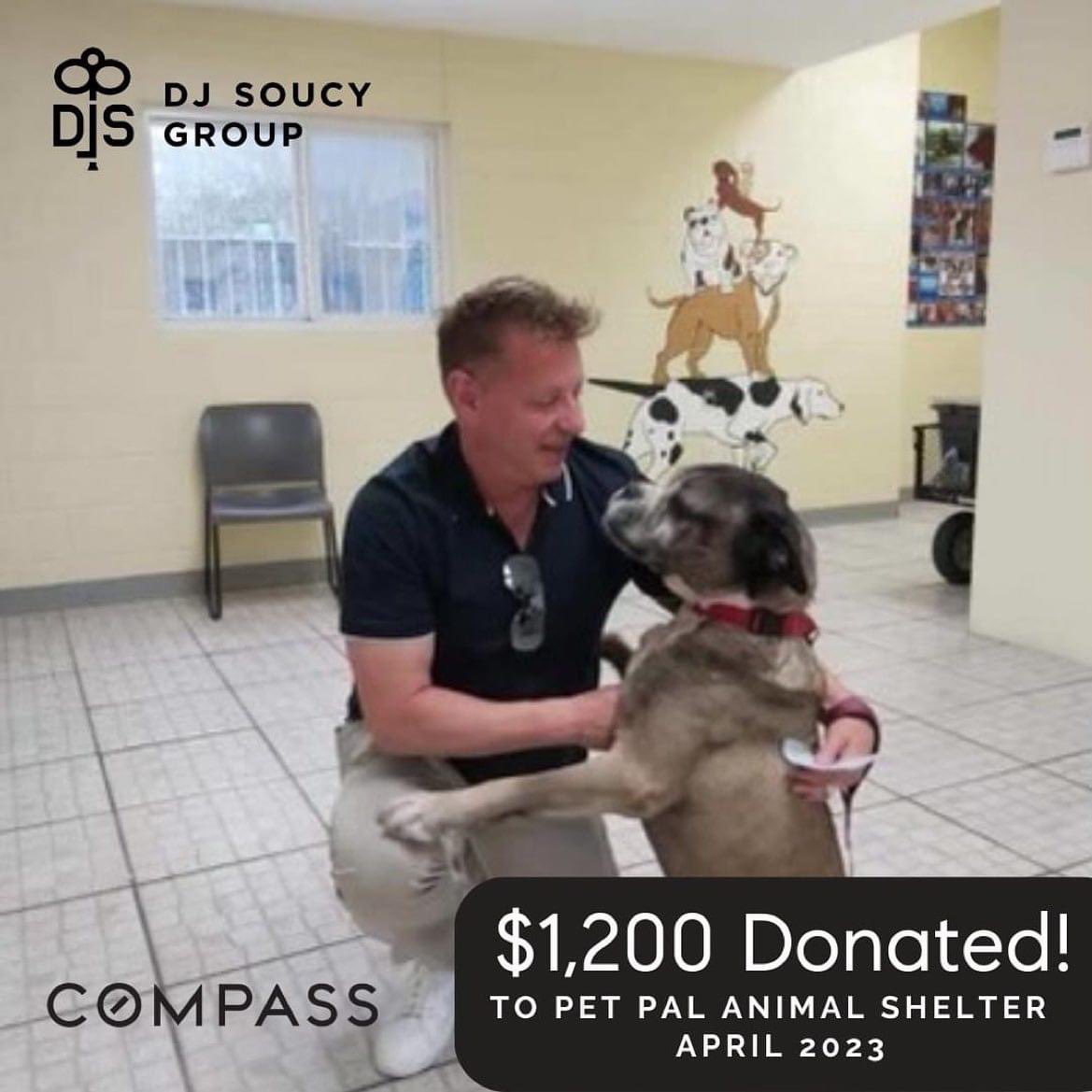 🐾❤️🐾 
Thank you so much to one of our favorite people @djsrealty featuring Buster. You do not understand how much we appreciate people like you. You are helping us save lives.❤️ 
Repost from @djsrealty