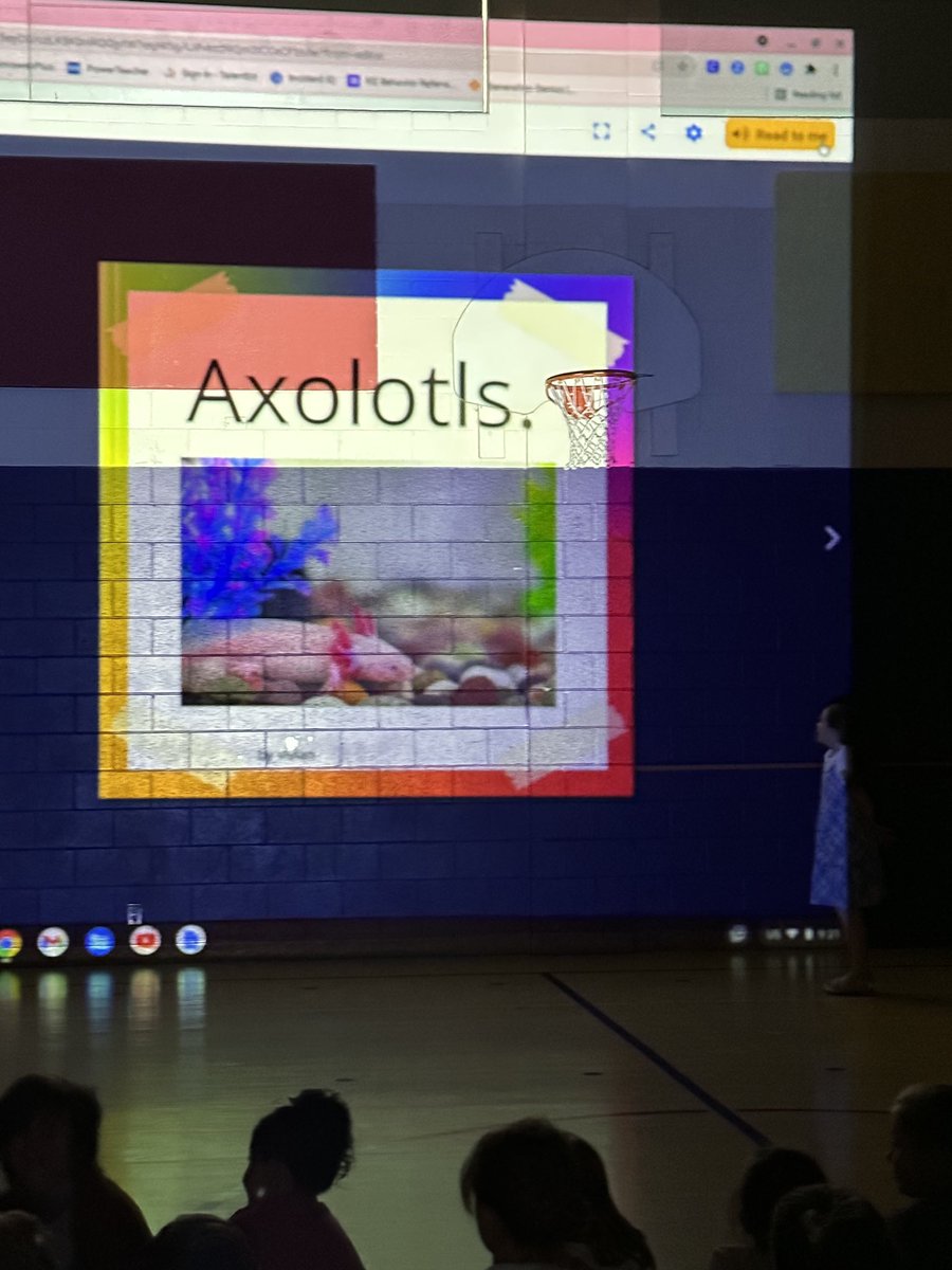 Mitch Masker tweet media